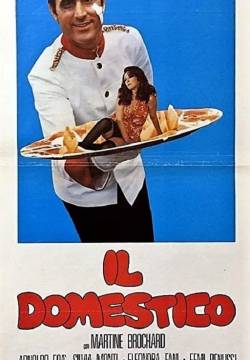 Il domestico (1974)