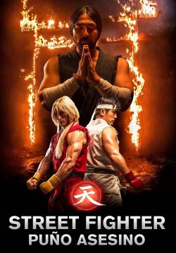 Street Fighter Assassin's Fist (2014)