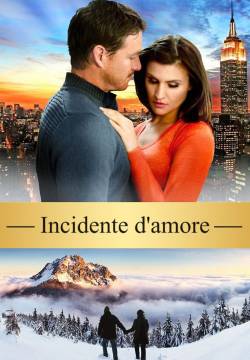 The Beautiful Beast - Incidente d'amore (2013)